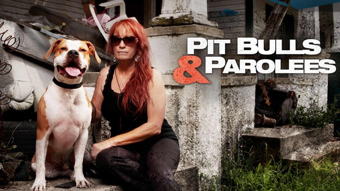 Pit Bulls & Parolees